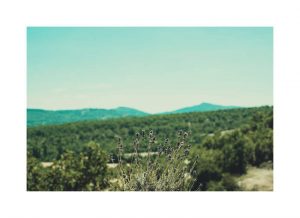 Mariage Label' Emotion Provence